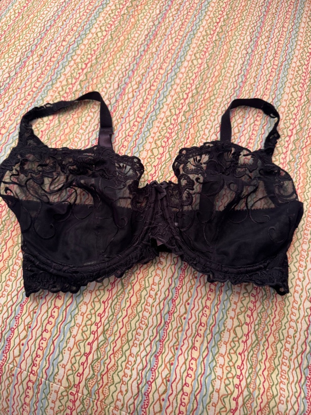 Sheer Black Lace Underwire Bra with Embroidered Cups 36DD